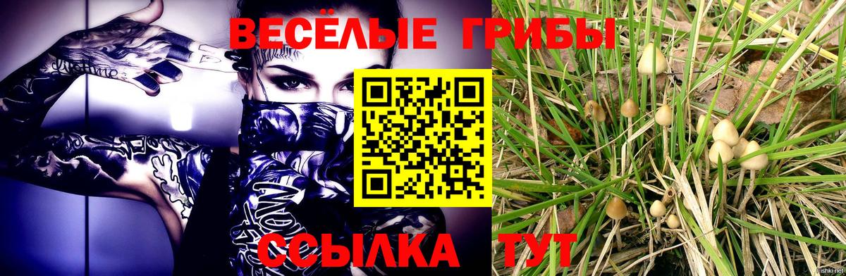 Пятигорск  Галлюциногенные грибы GOLDEN TEACHER  Вход с VPN  Галлюциногенные грибы прущие грибы 