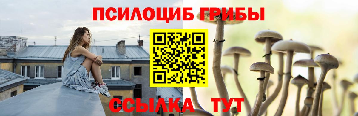 Галлюциногенные грибы Magic Shrooms Пятигорск